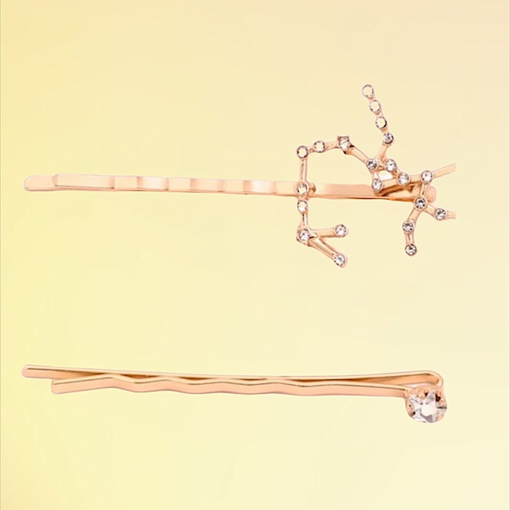 SAGITTARIUS — Zodiac Hair Pin